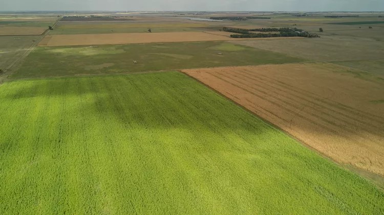 Aerial Farmland Pic