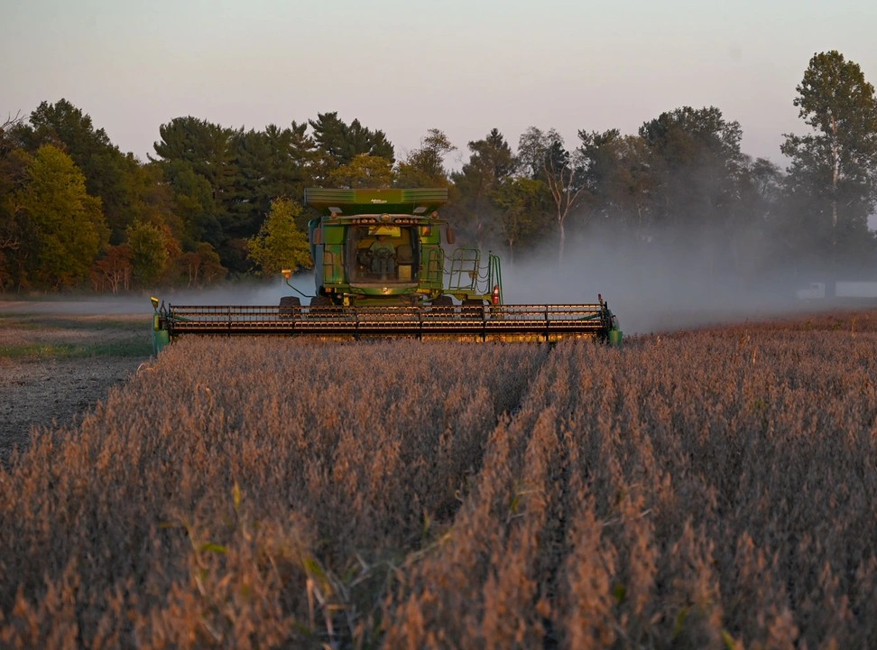 This image has an empty alt attribute; its file name is ff8b834r.png