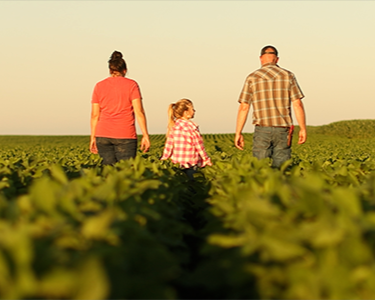 Compeer Financial Flat but Firm Farmland Values 8-4-2025