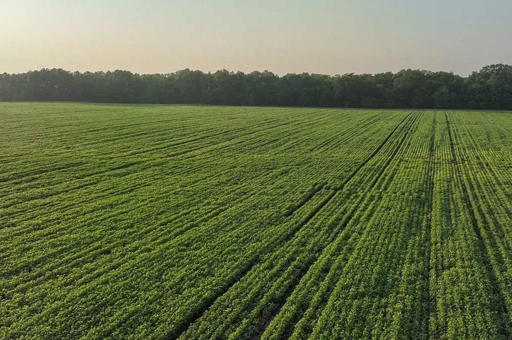 Peoples Company Farmland Value Sept 3, 2025