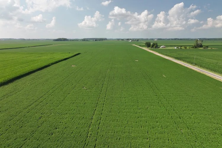 Successful Farming - Indiana Family’s 150-Year Farm Brings $20.8 Million at Auction