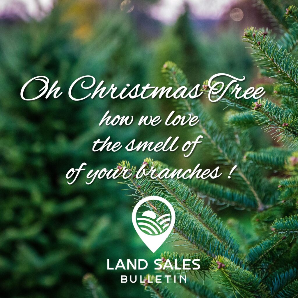 Midwest Christmas Tree Farms