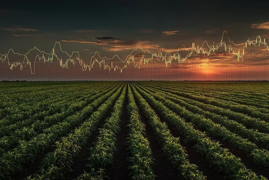 American Farmland Owner - Land Values Report Shows Increase for Key Midwest States