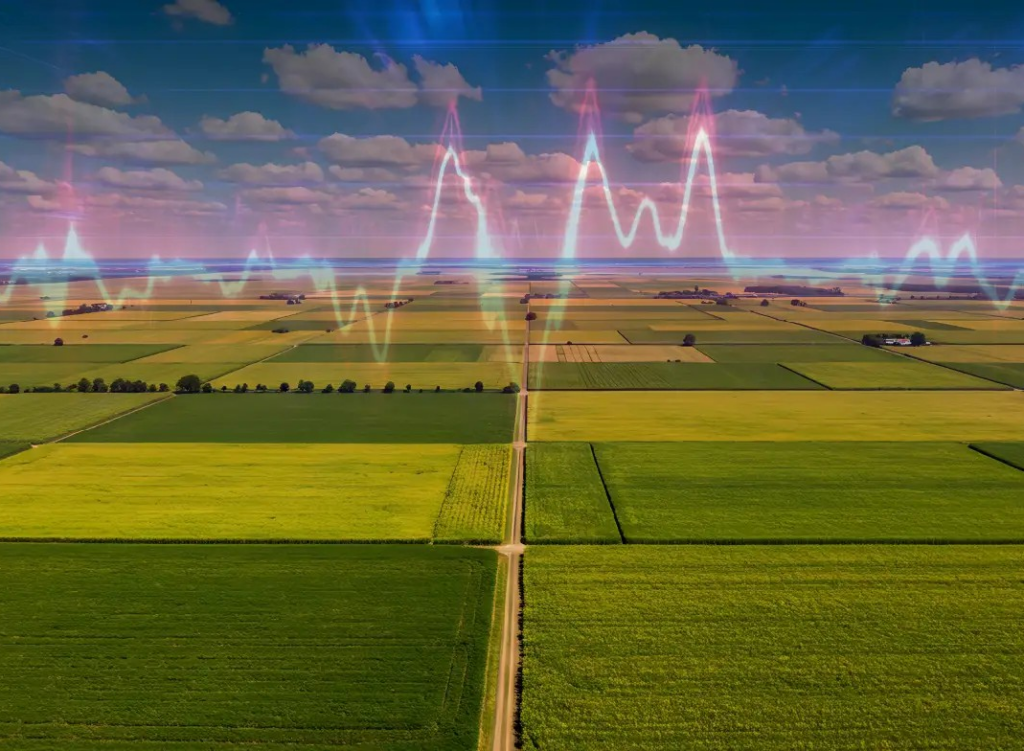 Holding Ground: What 2025 Revealed About Farmland Values