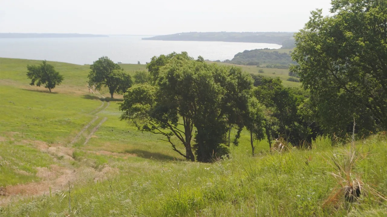 Nebraska Farmland Values Show Mixed Movement in 2026