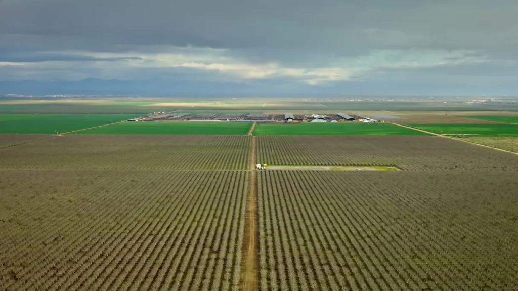 North Dakota Auction Shows a Disciplined but Still Strong Land Market