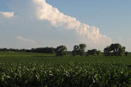 Nebraska: A Key State in Land Sales Bulletin’s Midwest Reporting Region